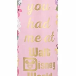 New 🛒 Disney Water Bottle - You Had Me At Walt Disney World ⭐