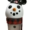 Top 10 ✨ Disney Tumbler With Straw - Mickey Mouse Club Snowman - Light Up 🎉
