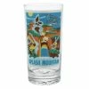 New 🌟 Disney Tumbler Glass - Attraction Poster - Splash Mountain ✔️