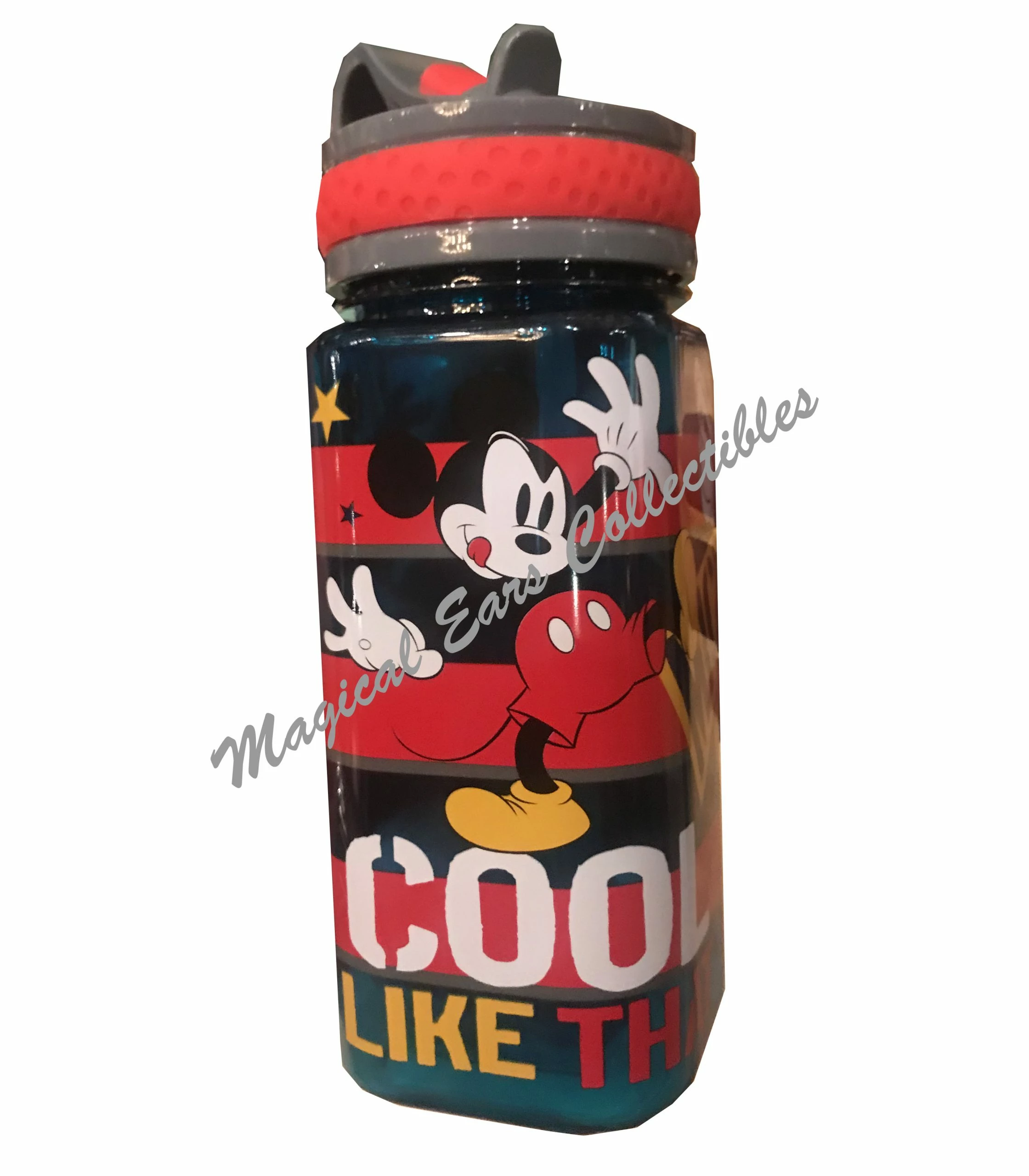 Budget โ๏ธ Disney Water Bottle - Mickey Mouse With Built-In Straw โญ