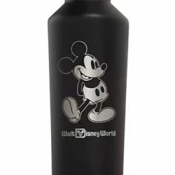 Best reviews of 🛒 Disney Travel Tumbler - Mickey Mouse - Stainless Steel - BLACK 😉